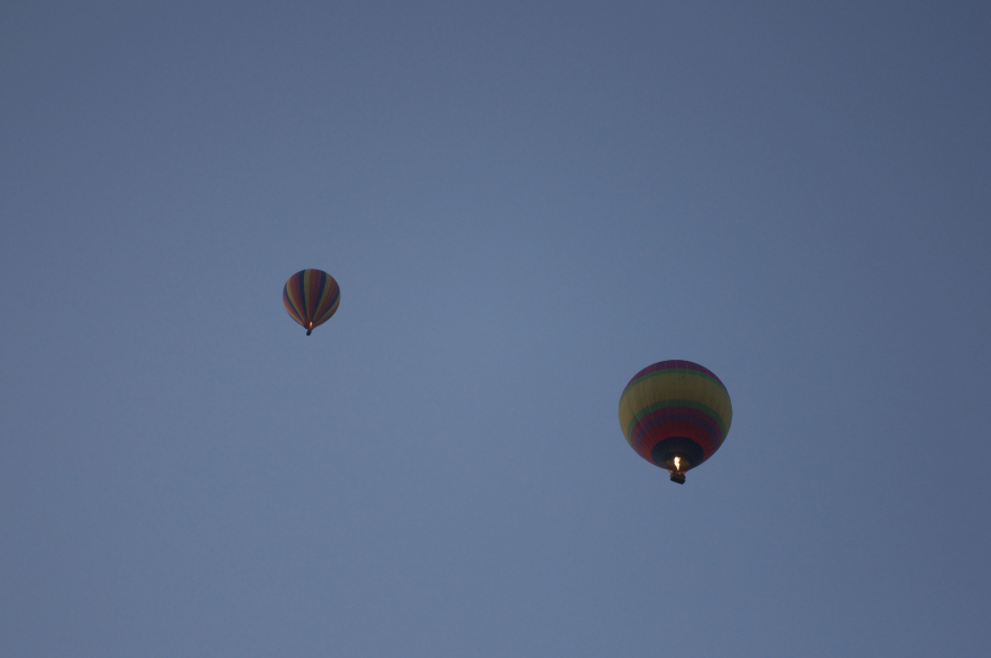 dsc_8901_fotor