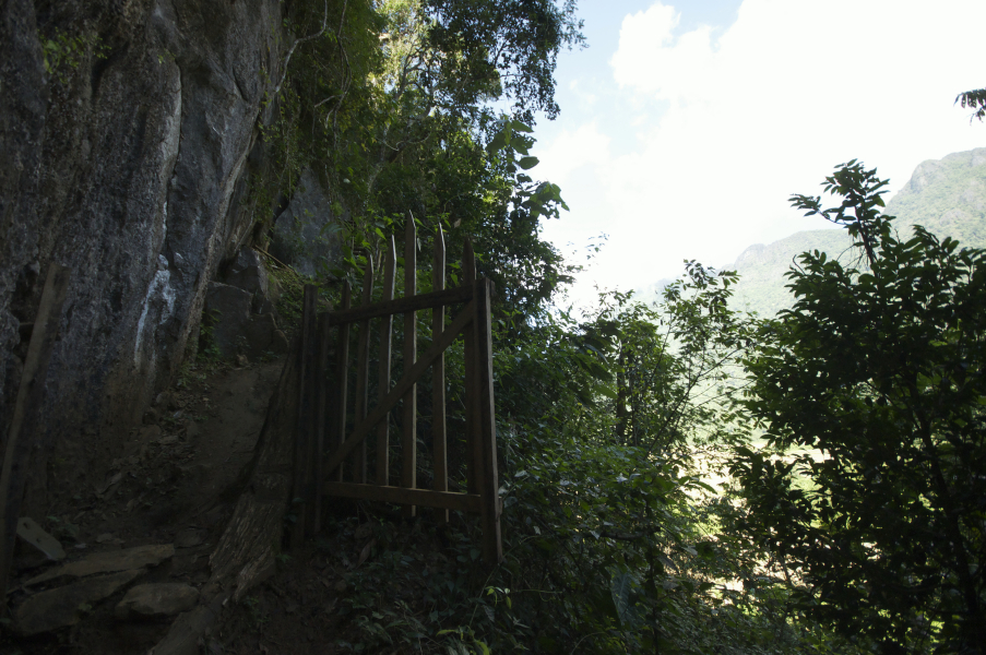dsc_9190_fotor