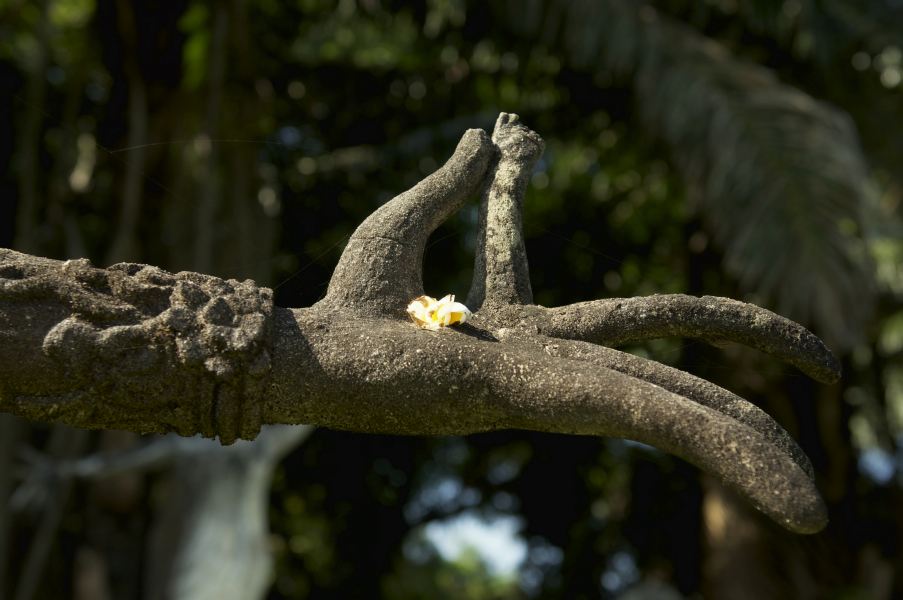 dsc_9239_fotor
